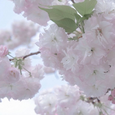 兽设原创改稿实用思路福瑞交流群